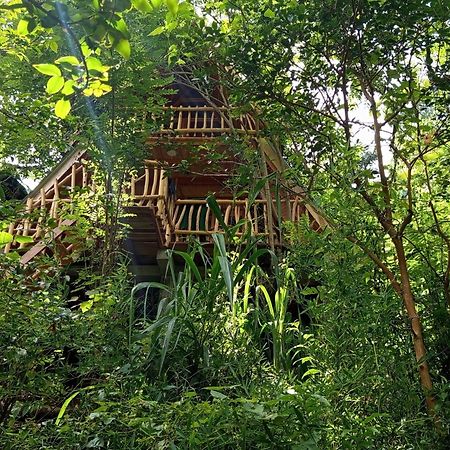 Eco Village เอลลา ภายนอก รูปภาพ