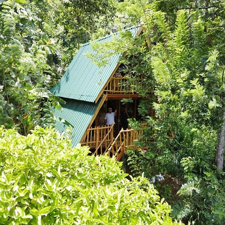 Eco Village เอลลา ภายนอก รูปภาพ