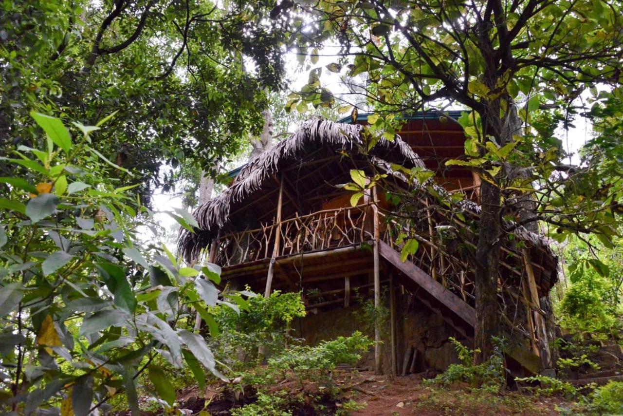Eco Village เอลลา ภายนอก รูปภาพ