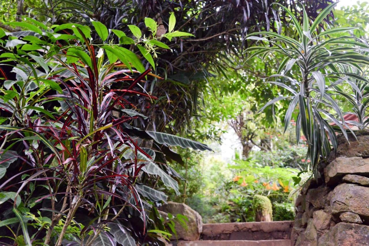 Eco Village เอลลา ภายนอก รูปภาพ