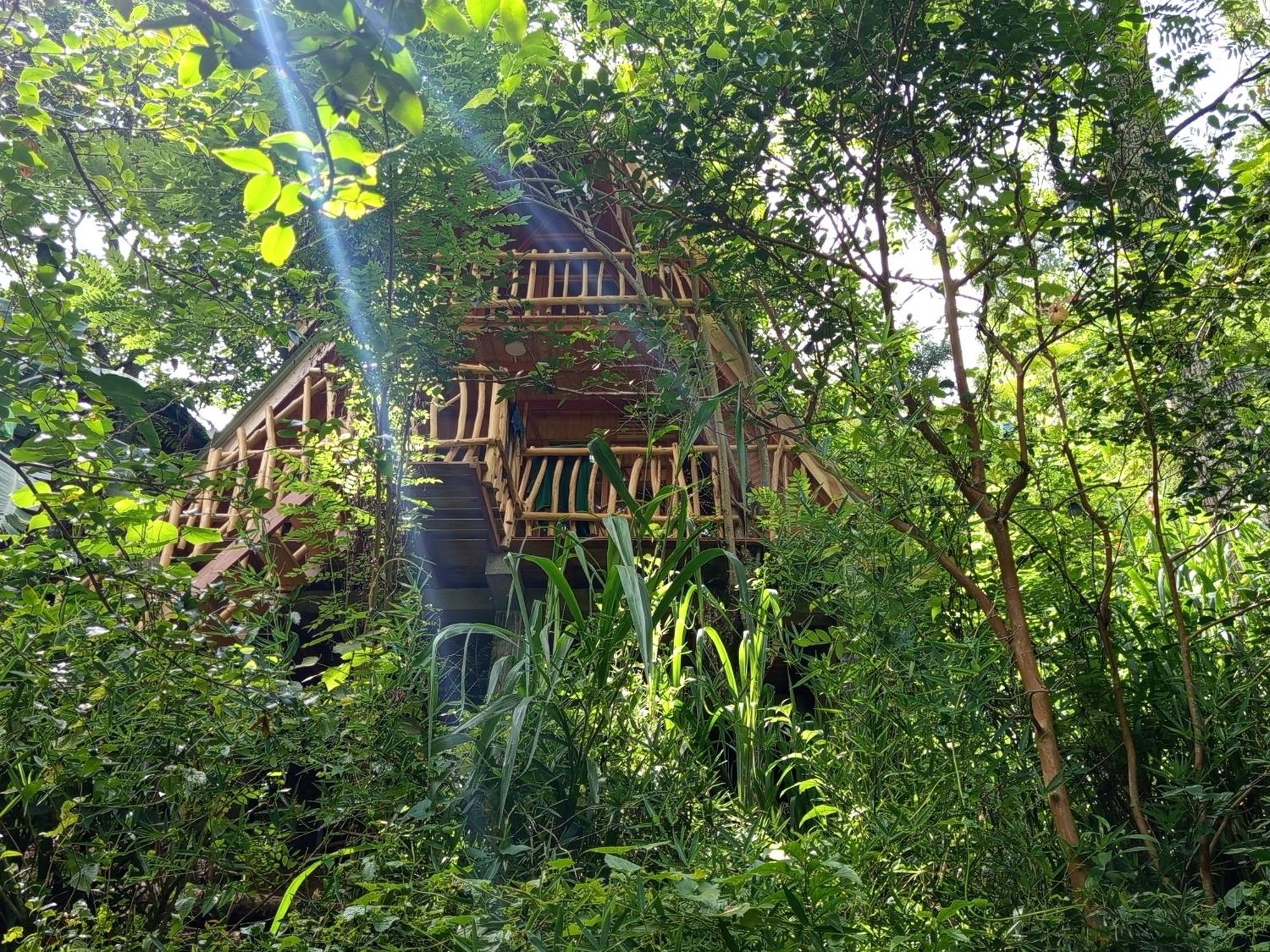 Eco Village เอลลา ภายนอก รูปภาพ