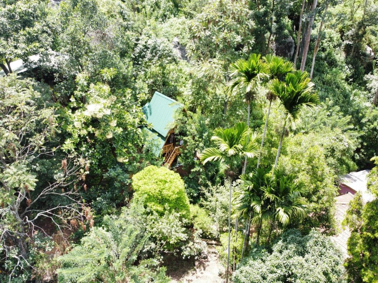 Eco Village เอลลา ภายนอก รูปภาพ