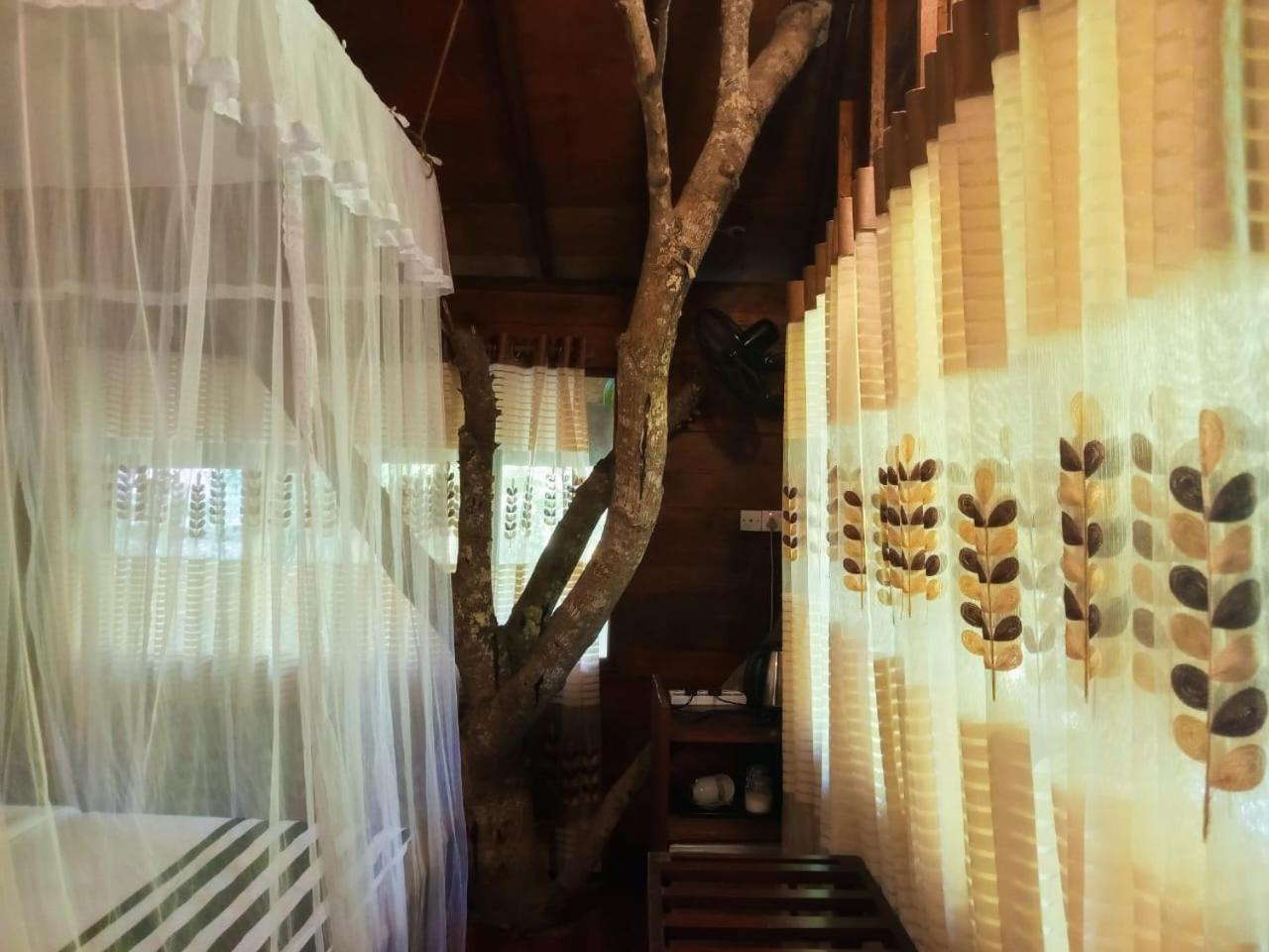 Eco Village เอลลา ภายนอก รูปภาพ