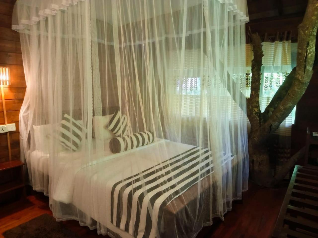 Eco Village เอลลา ภายนอก รูปภาพ